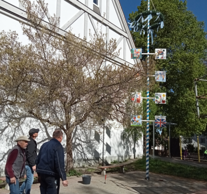Fertiger Maibaum mit Tafeln an der Grundschule 2026 Maibaum Grundschule Wiedergeltingen Gartenfreunde