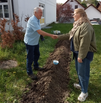 Gemeinsam mit der Schule Naturnähe fördern Kartoffellegen Aktion