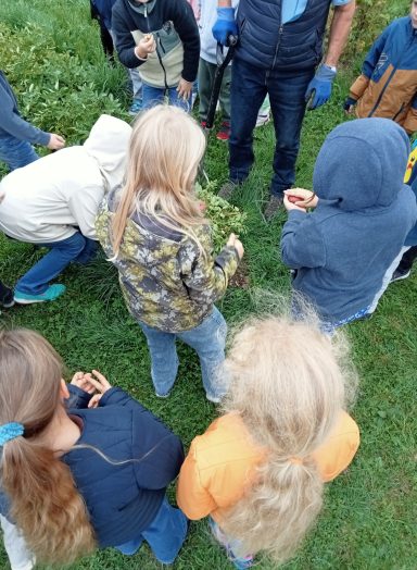 Ausgraben der Kartoffeln am Kartoffelfest 10/2026 Kartoffelfest im Herbst